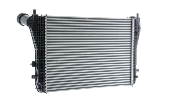 CI208000P Mahle Original