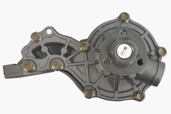 CP9000P Mahle Original Bombeadora de agua, completo con caja