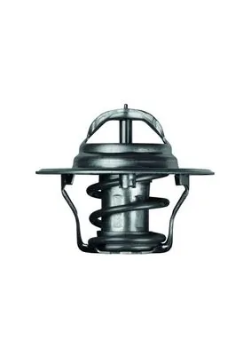 TX487D Mahle Original Termostato de agua