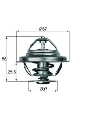 TX2080D Mahle Original