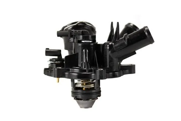 TM53103 Mahle Original