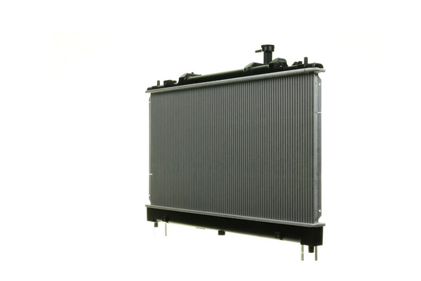 CR1021000S Mahle Original