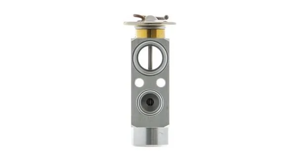 Válvula TRV del aire acondicionado Mahle Original AVE132000P precio, desde 28,95 EUR