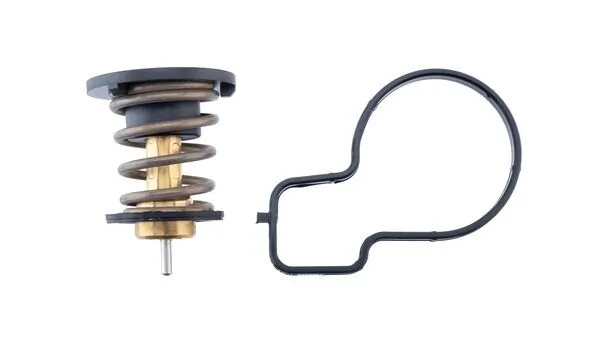 TX49192D Mahle Original