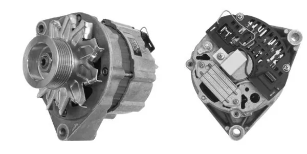 MG421 Mahle Original