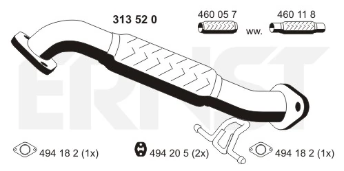 313520 Ernst