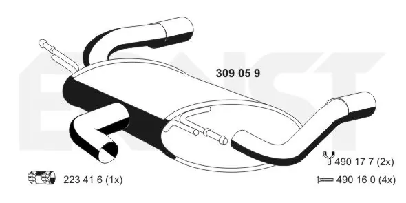 309059 Ernst