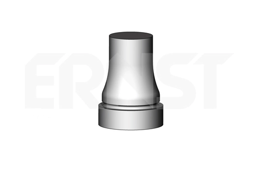 496537 Ernst