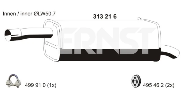 313216 Ernst