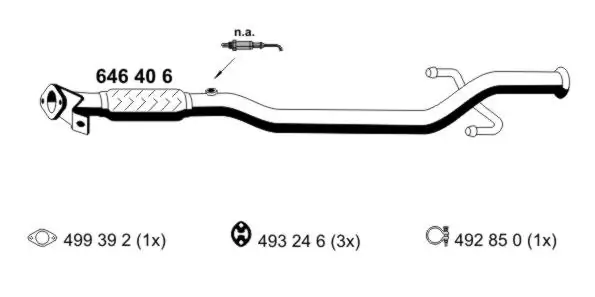646406 Ernst