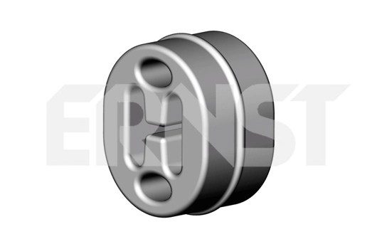 497411 Ernst