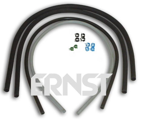 410007 Ernst