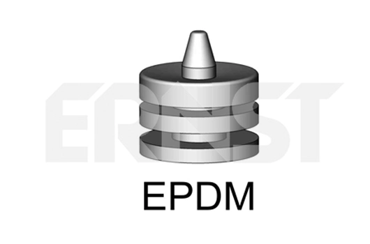497367 Ernst