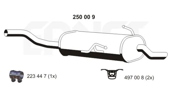 250009 Ernst