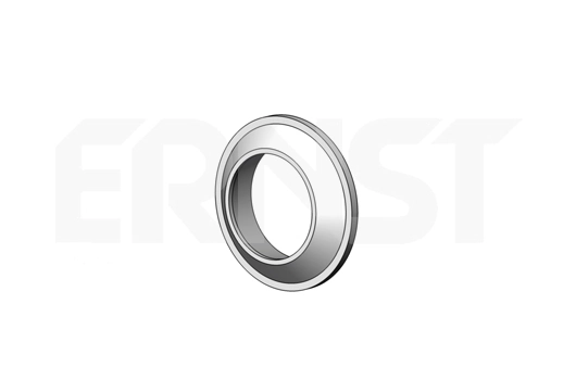 498685 Ernst