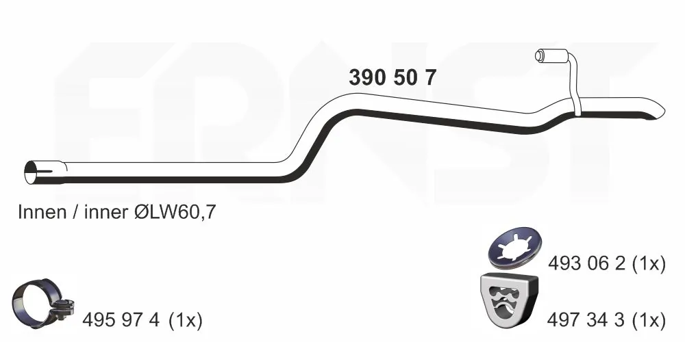 390507 Ernst