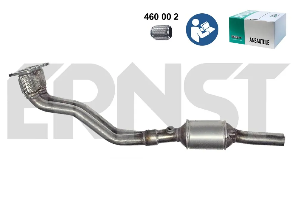 752909 Ernst