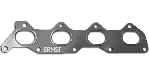 491051 Ernst