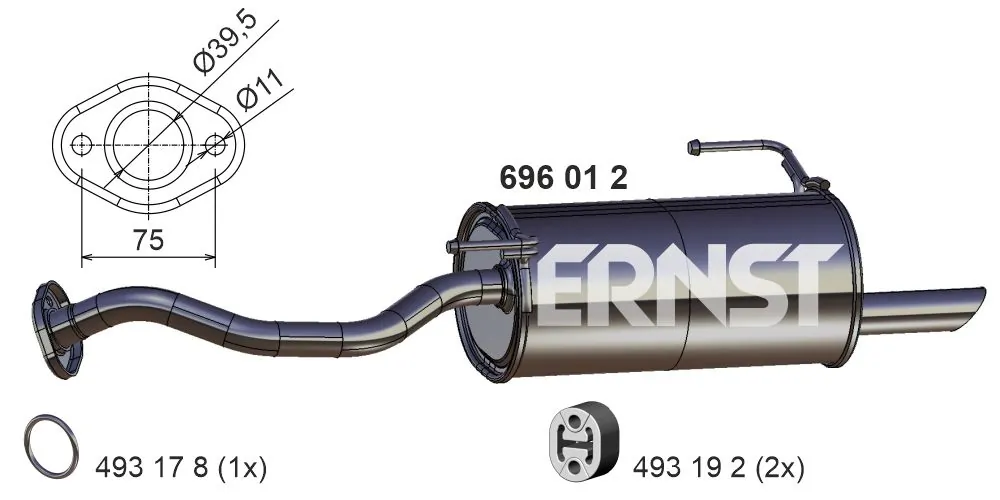 696012 Ernst