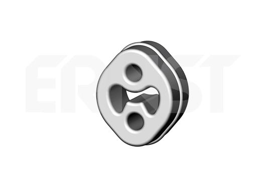 494205 Ernst