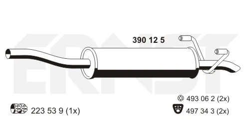 390125 Ernst
