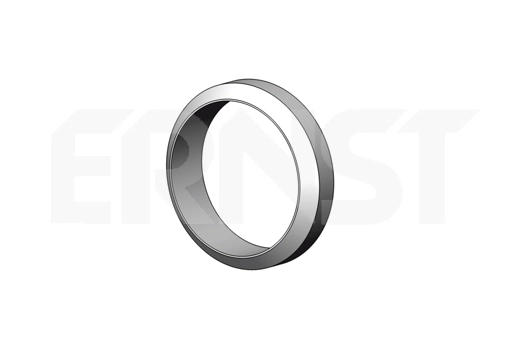 498166 Ernst