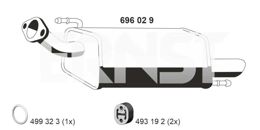 696029 Ernst
