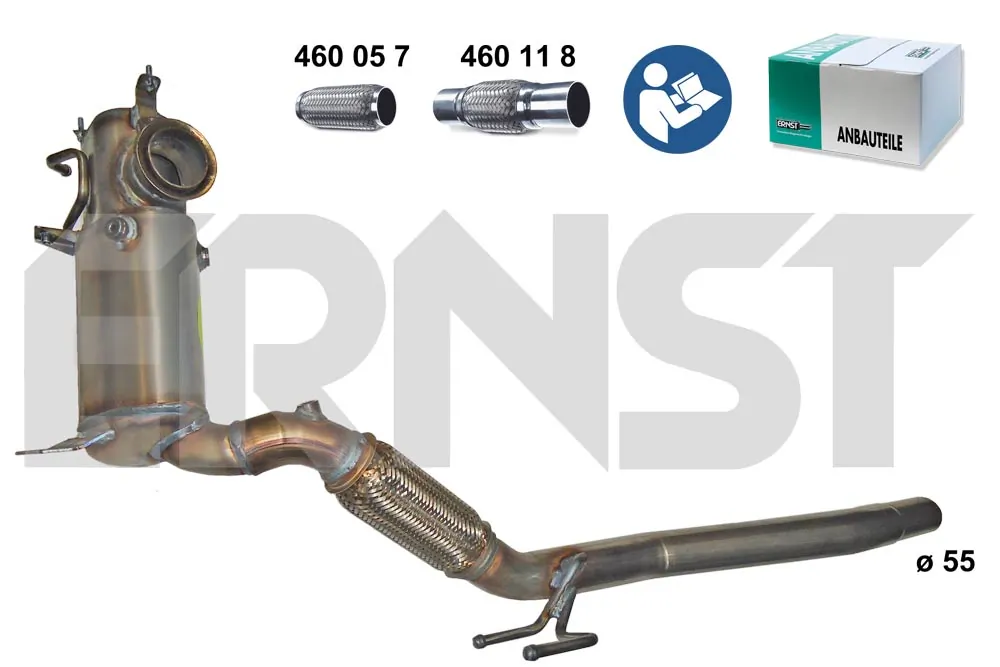 910934 Ernst