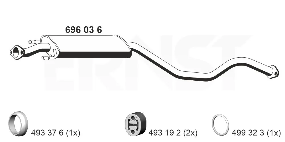 696036 Ernst