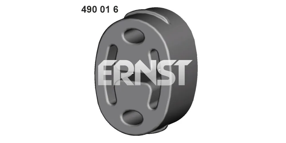 490016 Ernst