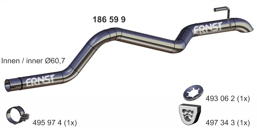 186599 Ernst
