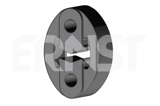 492072 Ernst