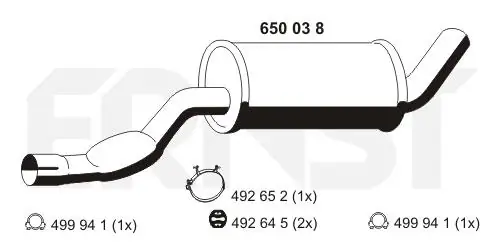 650038 Ernst