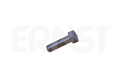 495530 Ernst