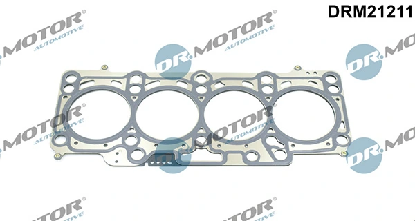 DRM21211 Lizarte