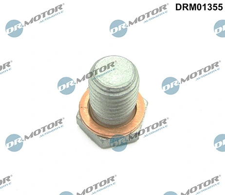 DRM01355 Lizarte