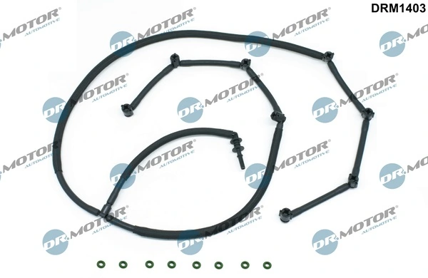 DRM1403 Lizarte