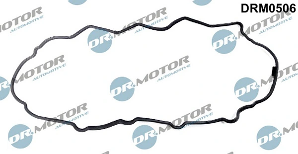 DRM0506 Lizarte