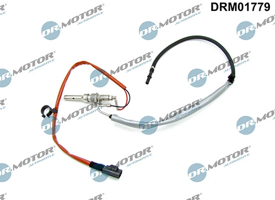 DRM01779 Lizarte