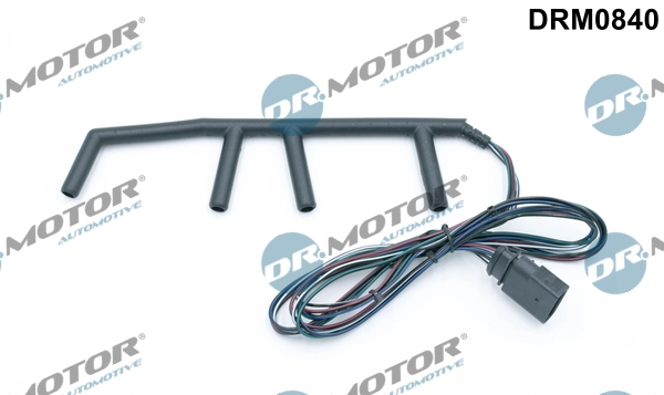 DRM0840 Lizarte