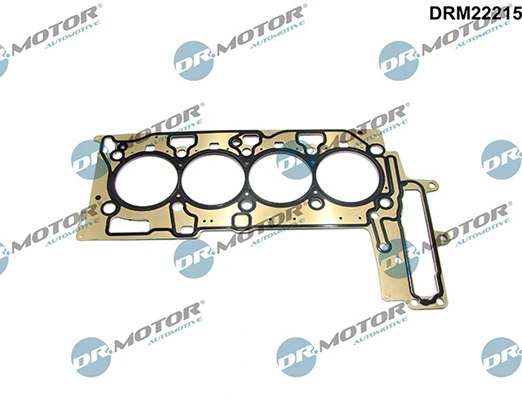 DRM22215 Lizarte