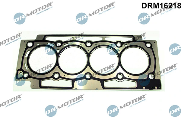 DRM16218 Lizarte