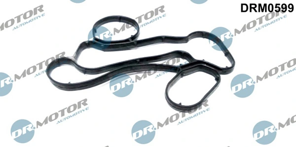 DRM0599 Lizarte