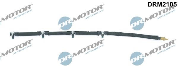 DRM2105 Lizarte
