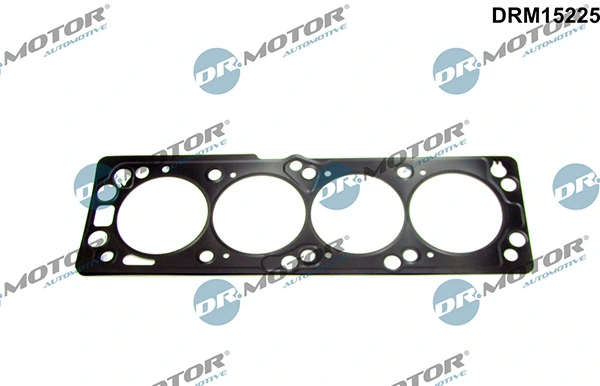 DRM15225 Lizarte