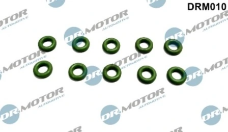 DRM010 Lizarte