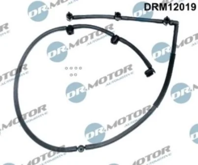 DRM12019 Lizarte
