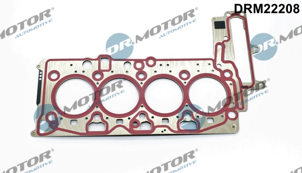 DRM22208 Lizarte