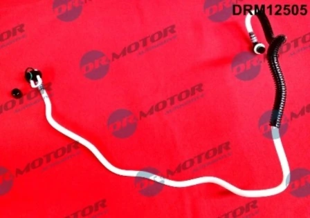 DRM12505 Lizarte