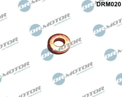DRM020 Lizarte
